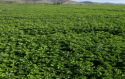 201707260636101.png 201707260636101.png