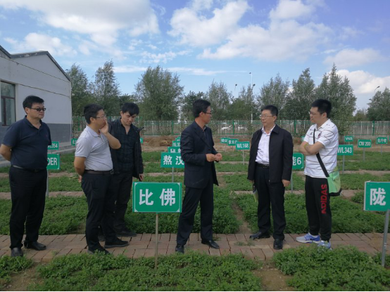 201709250829431.png 201709250829431.png