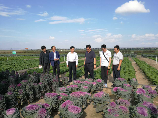 201709250830001.png 201709250830001.png