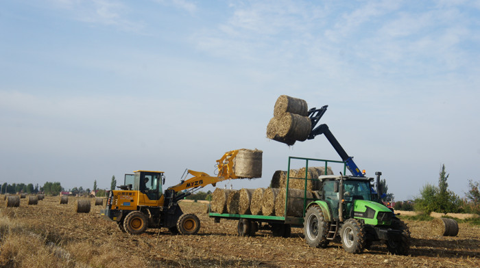 201710230202501.jpg 201710230202501.jpg