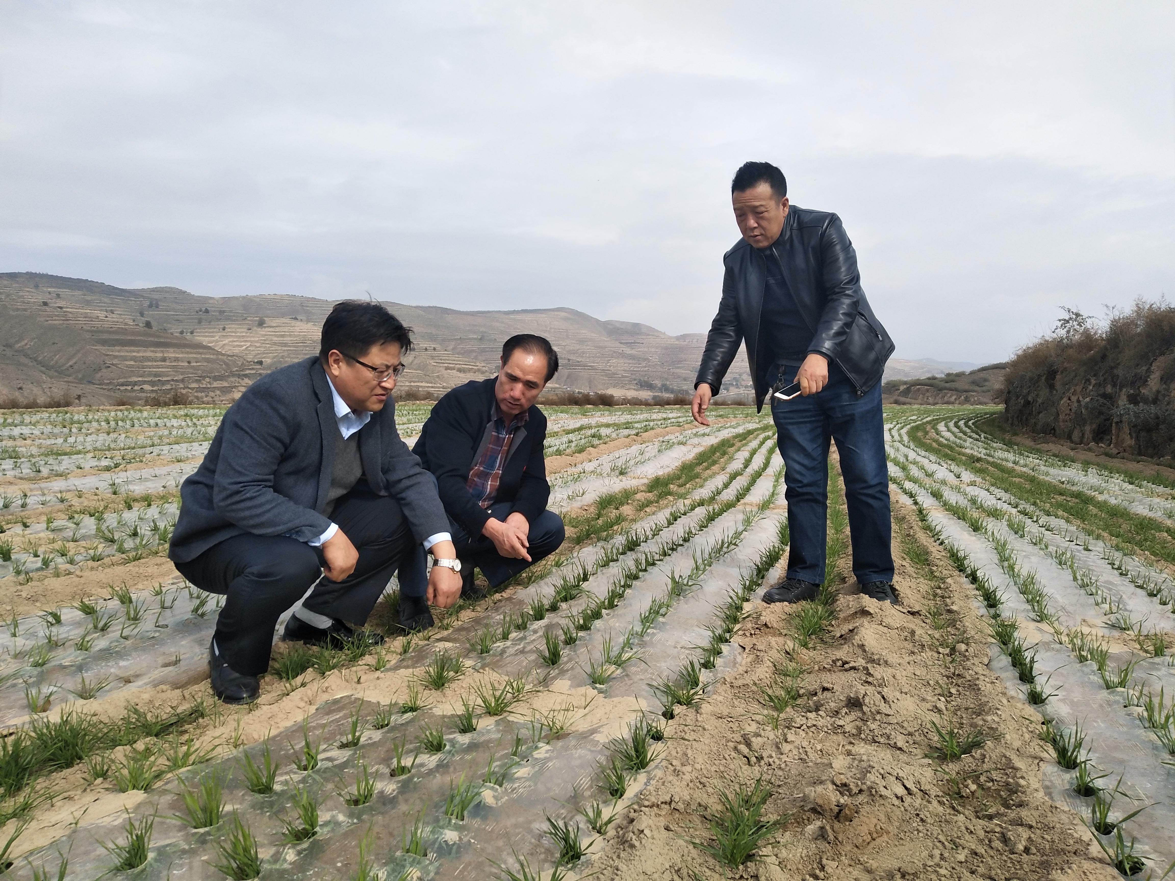 201711130613281.jpg 201711130613281.jpg