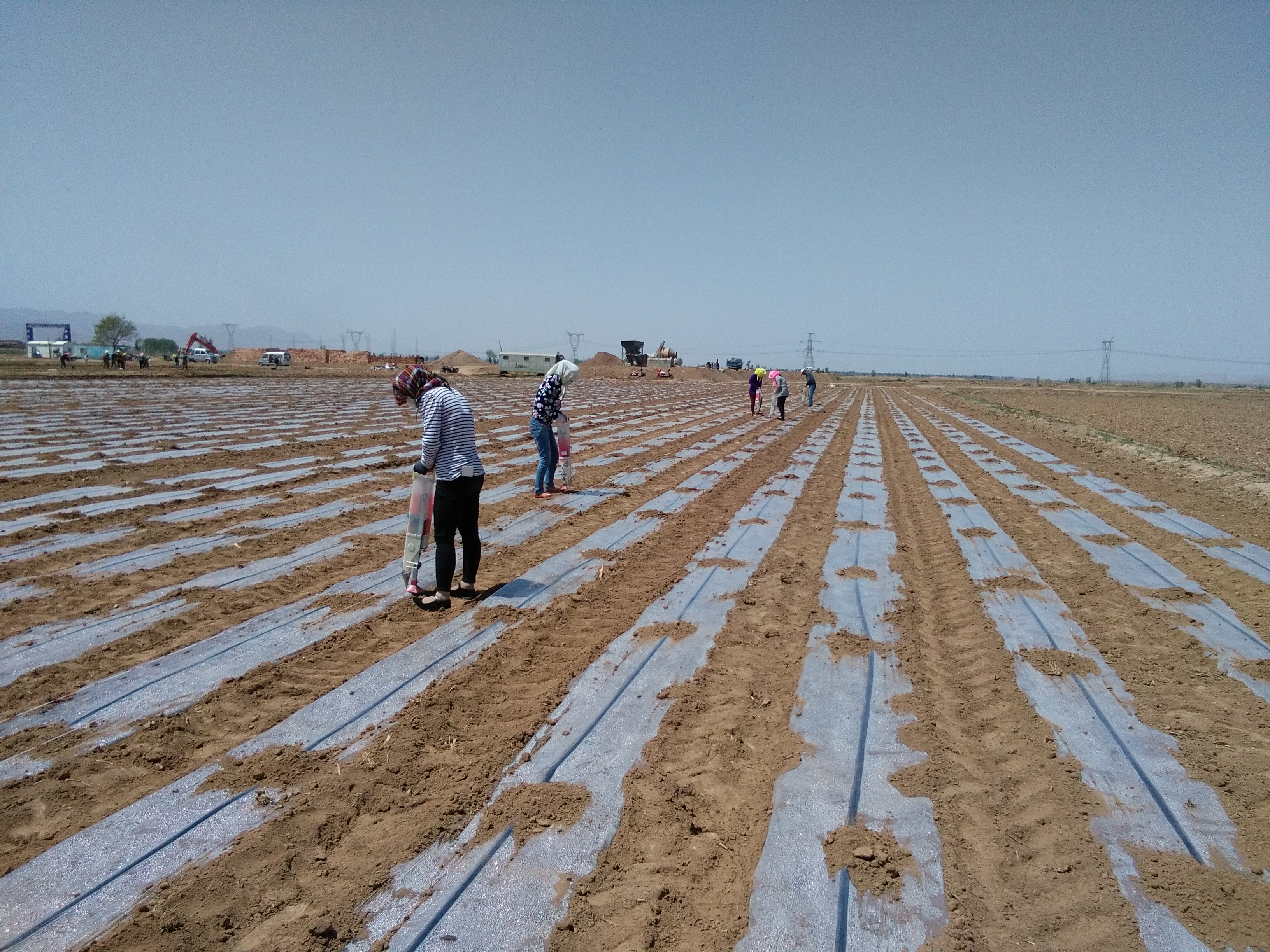 201801260226311 - 副本.jpg