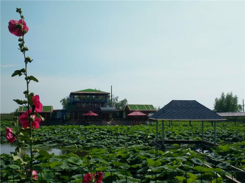 宁夏附近农家乐游玩