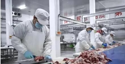 3.webp.jpg 3.webp.jpg