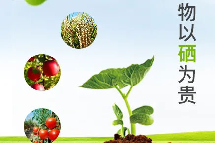 富硒农业为什么能成为功能农业的代表？