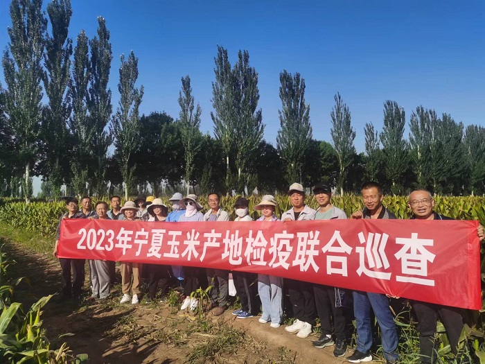 玉米巡检1 (1).jpg