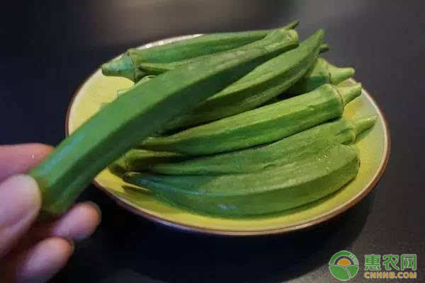 提高秋葵品质的种植方法和管理技巧-图片版权归惠农网所有