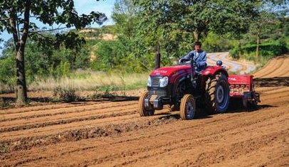 小麦秋播期间病虫草害防治方法-图片版权归惠农网所有