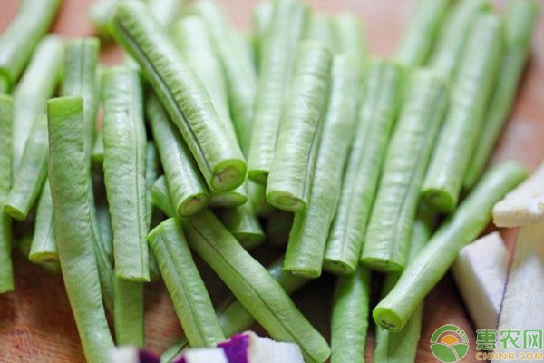 豆角要不要打尖？怎么打尖？豆角种植打尖方法-图片版权归惠农网所有