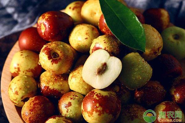 冬枣花期需做好这几大管理-图片版权归惠农网所有