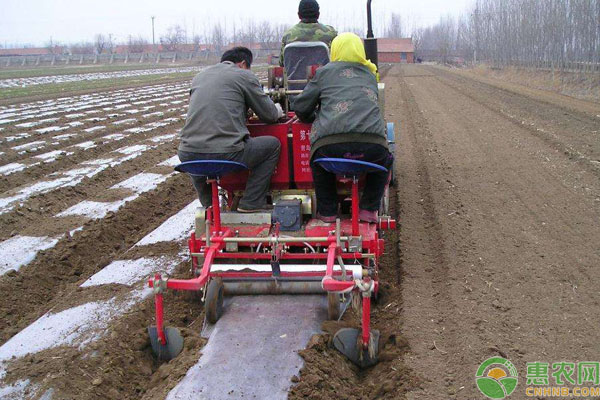 播种机播前应做好哪些调整工作？-图片版权归惠农网所有