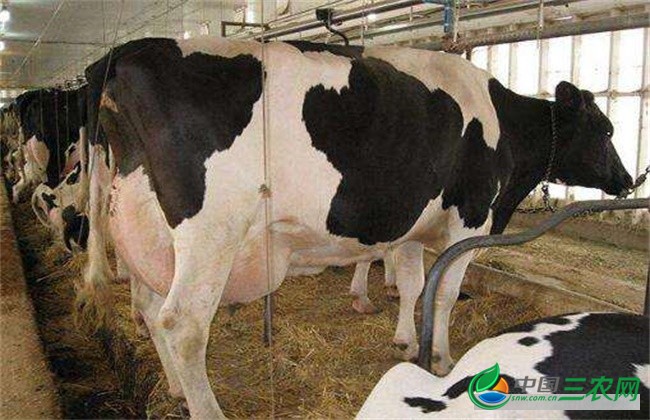 10月期货市场量缩额增 贵金属品种仍易游娱乐城- YY易游体育官方网站- 易游体育APP是市场焦点