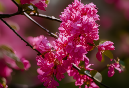 1704262318313567.png 1.png