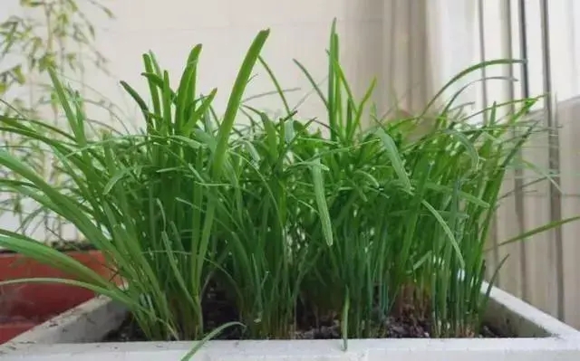 1665888839322822.webp 32b324b2baa3ad6537480ff9ae4dabbb_u=1373868303,1948348964&fm=253&fmt=auto&app=138&f=JPEG_w=640&h=399.webp