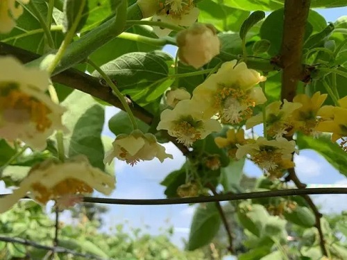 u=2304314705,1466661898&fm=253&fmt=auto&app=138&f=JPEG.webp u=2304314705,1466661898&fm=253&fmt=auto&app=138&f=JPEG.webp