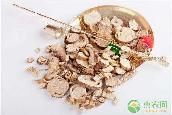 柴胡怎么种植?柴胡高产栽培技术 柴胡怎么种植?柴胡高产栽培技术-图片版权归惠农网所有