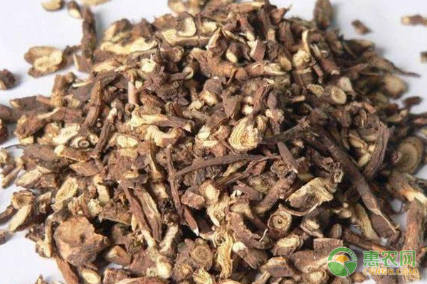 柴胡出苗后管理要点-图片版权归惠农网所有