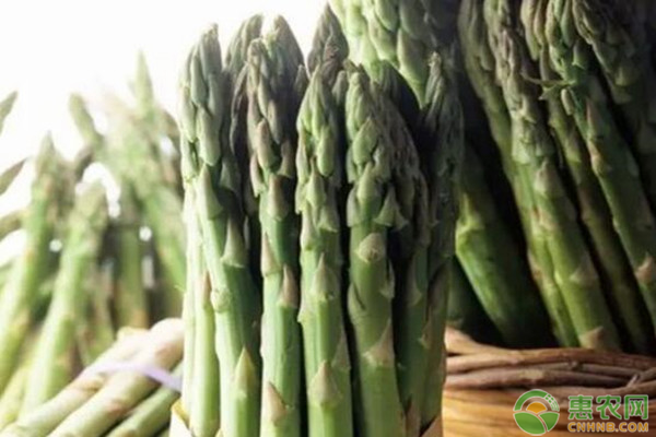 芦笋怎样种植？-图片版权归惠农网所有