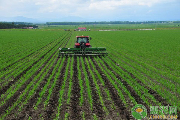 如何正确使用农药药剂？农药使用的几个要点-图片版权归惠农网所有