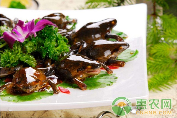 北方地区林蛙综合养殖配套技术-图片版权归惠农网所有