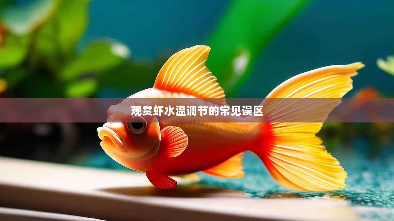 观赏虾水温调节的常见误区