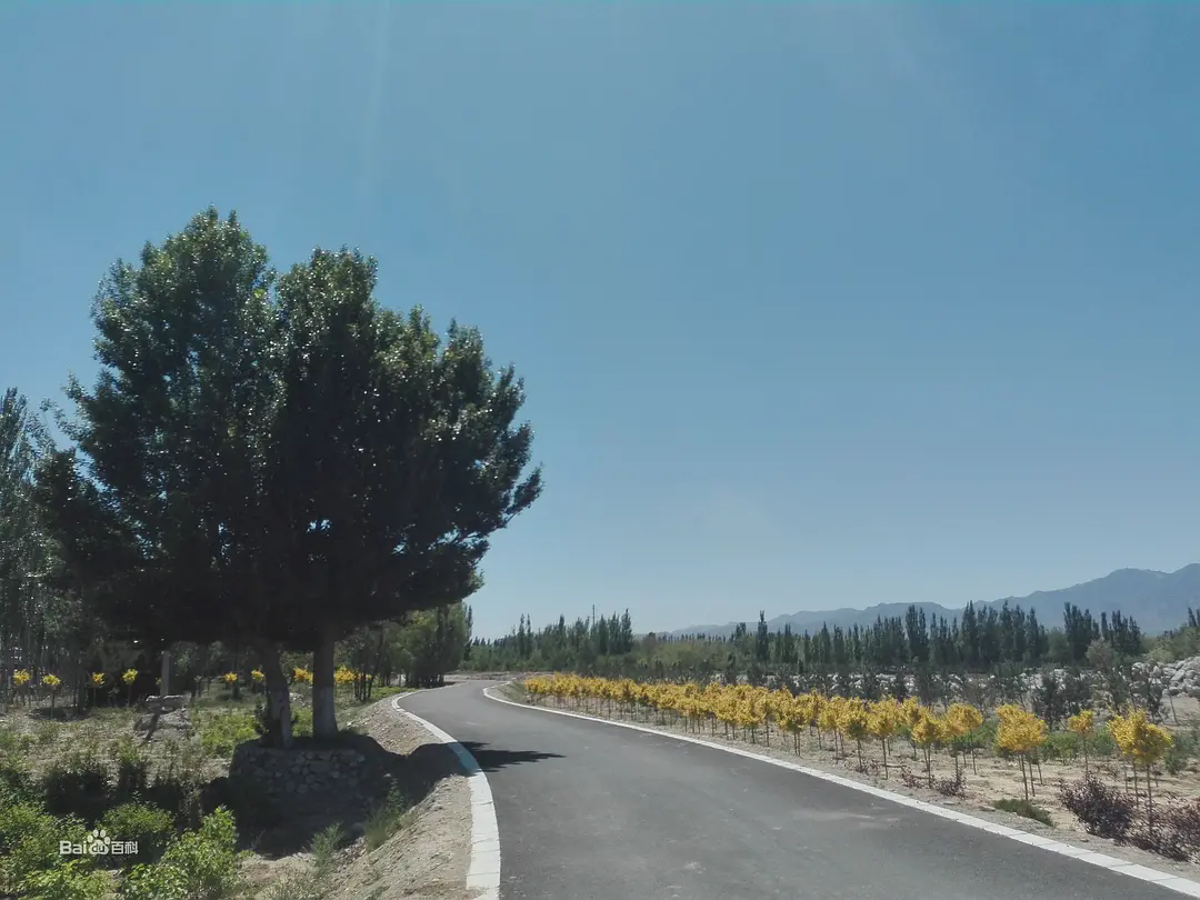 p48084569.webp.png p48084569.webp.png