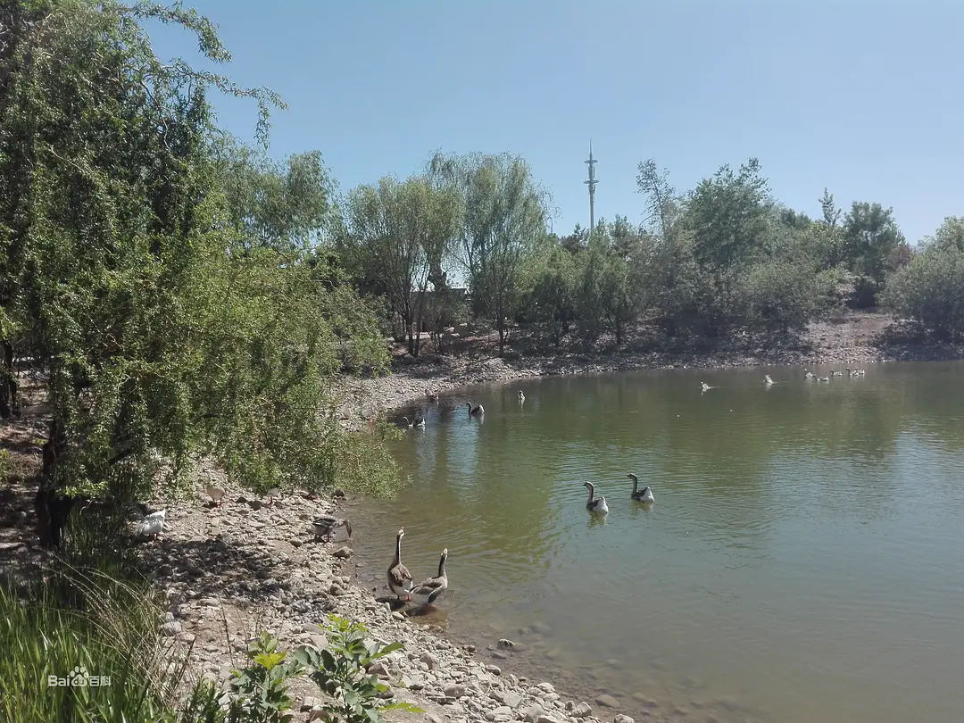 p48084573.webp.png p48084573.webp.png