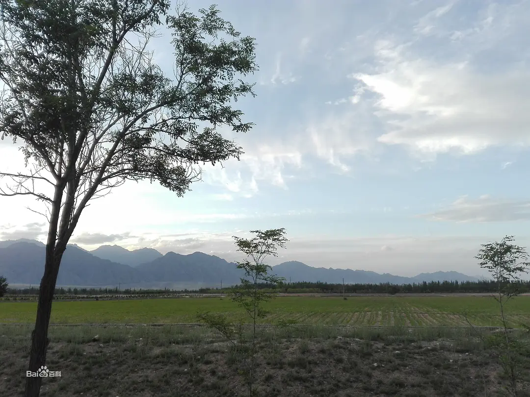 p48084574.webp.png p48084574.webp.png