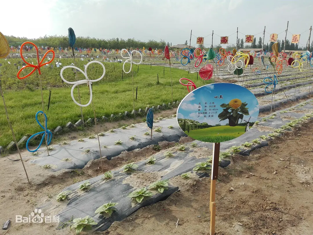 p48084577.webp.png p48084577.webp.png