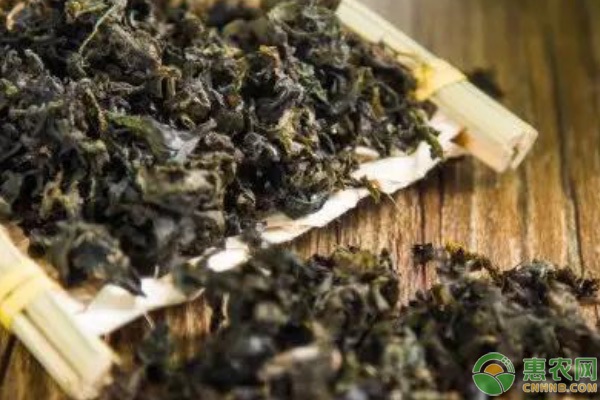 雷公菌怎么种植？-图片版权归惠农网所有