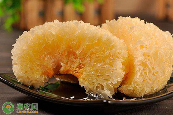 银耳高产栽培管理技术-图片版权归惠农网所有