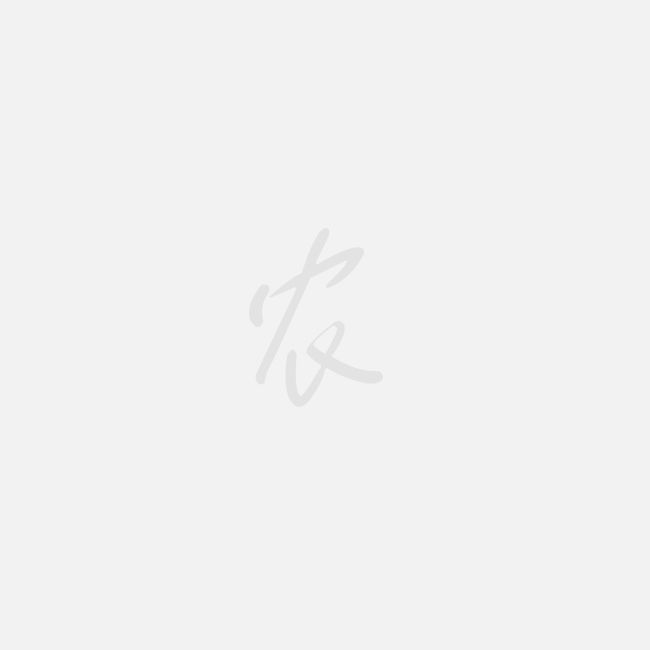 车前草能治疗猪病吗-图片版权归惠农网所有
