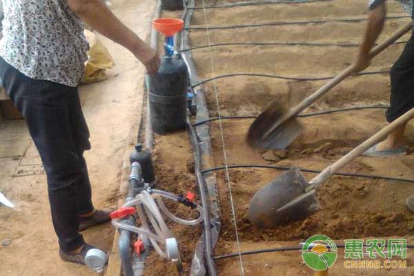 种菜用滴灌时甭管怎么办?滴灌使用技巧及注意事项-图片版权归惠农网所有