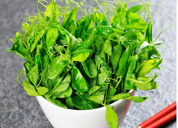 豌豆尖试种技术-图片版权归惠农网所有