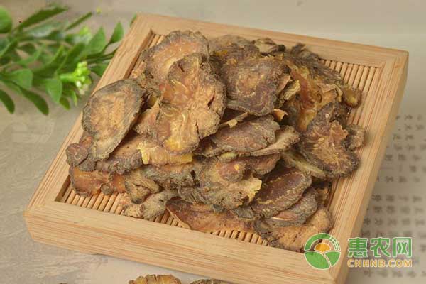 川芎种植技术及种植效益分析-图片版权归惠农网所有