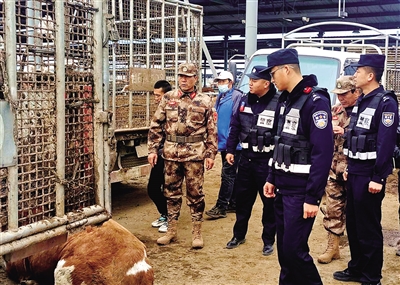 兴隆派出所民警在牛市巡逻。