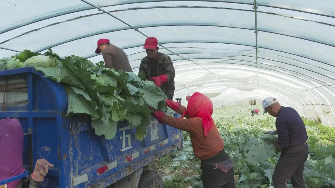 图片2.png 图片2.png