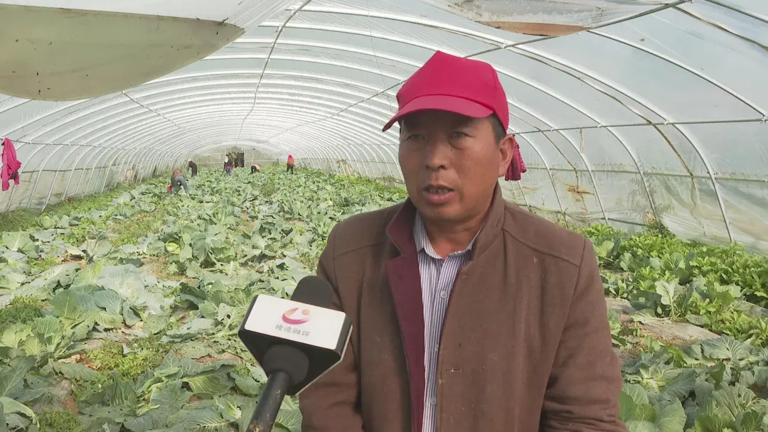 图片5.png 图片5.png