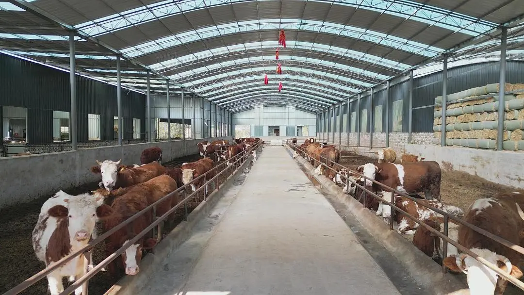 图片6.png 图片6.png