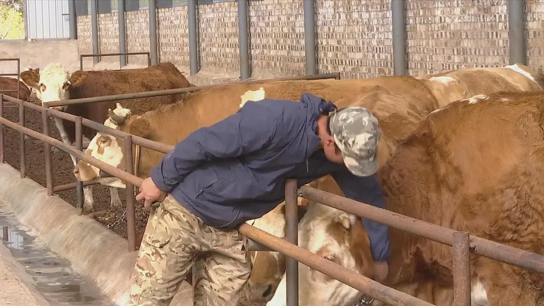 图片7.png 图片7.png