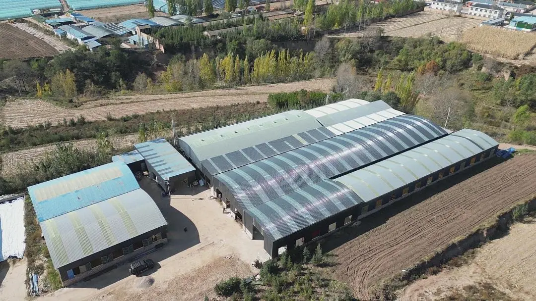 图片8.png 图片8.png