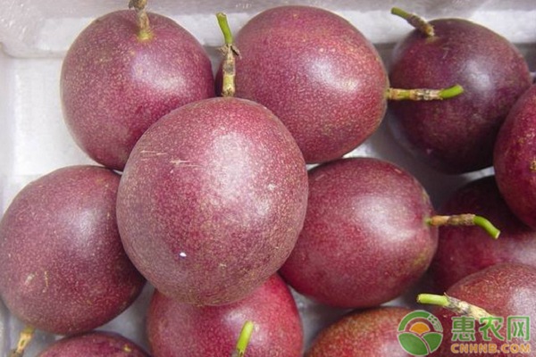 百香果的功效与作用有哪些？如何种植好百香果？-图片版权归惠农网所有