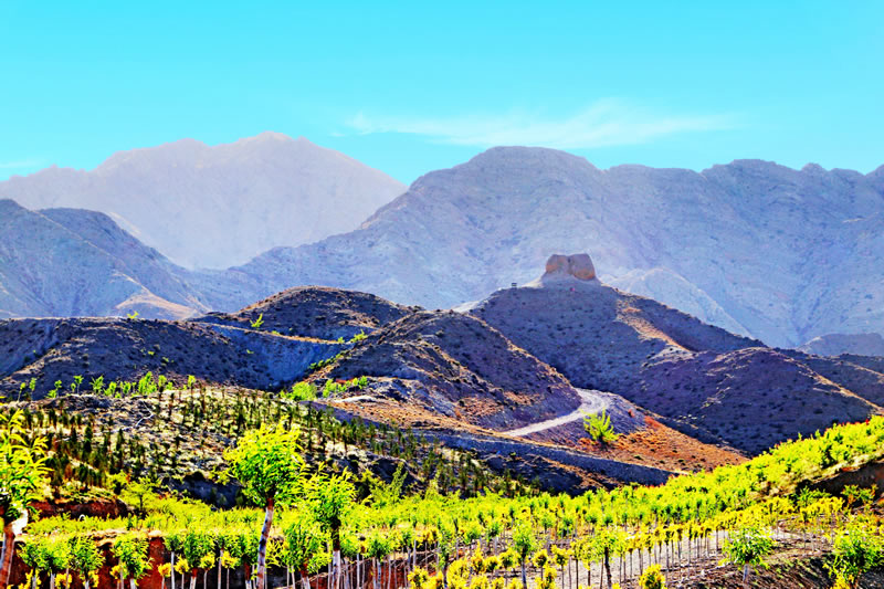 龙泉村 长城_proc.jpg