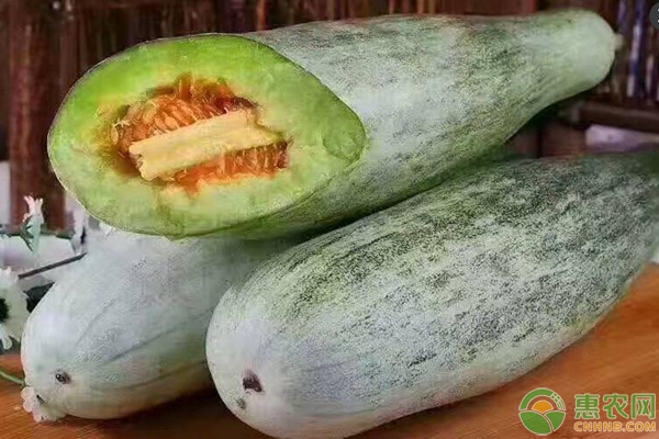 种植羊角蜜如何留瓜？-图片版权归惠农网所有