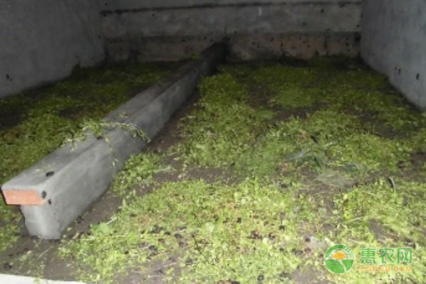 土鳖的养殖技术及注意事项-图片版权归惠农网所有