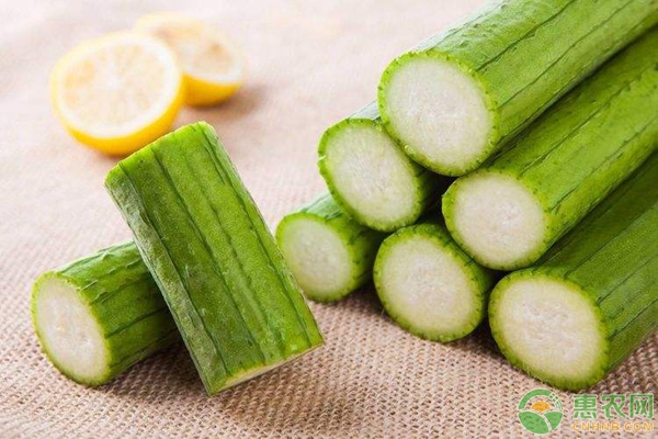 丝瓜种植技术 丝瓜怎么种植?夏季蔬菜丝瓜的种植技术详解-图片版权归惠农网所有