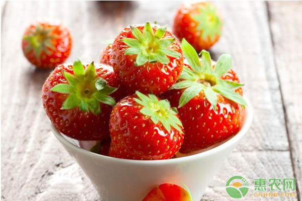 草莓种植课堂：光合作用对草莓的影响-图片版权归惠农网所有