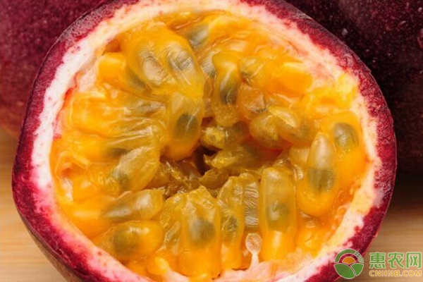 百香果北方温室栽培管理技术手册（建议收藏！）-图片版权归惠农网所有