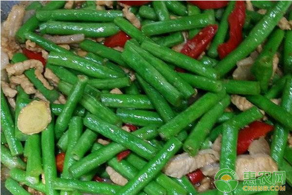 大棚豇豆高效种植管理技术要点-图片版权归惠农网所有