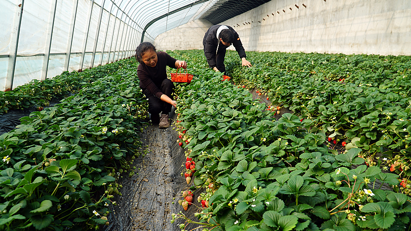 DSC03678.JPG DSC03678.JPG